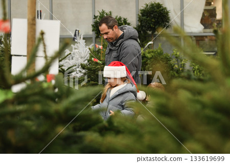 Father and daughter choose a Christmas tree at a forestry. 133619699