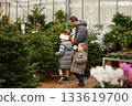 Father and children choose a Christmas tree at a forestry. 133619700