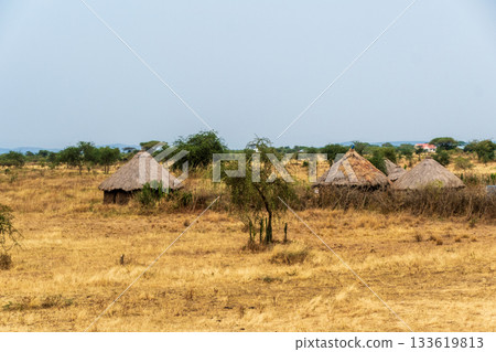 A tranquil serengeti landscape A tranquil serengeti landscape 133619813
