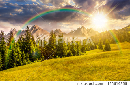 spruce forest on grassy slope at night. composite landscape with High Tatra mountains in the distance in full moon light. beautiful summer scenery. background for fake news or conspiracy concepts spruce forest on grassy slope at night. composite landscape with High Tatra mountains in the distance in full moon light. beautiful summer scenery. background for fake news or conspiracy concepts 133619866