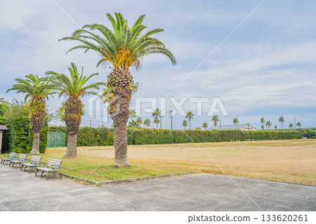 岩田市(靜岡縣)龍洋海洋公園的景色 岩田市(靜岡縣)龍洋海洋公園的景色 133620261