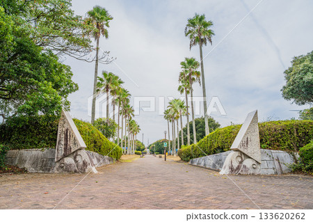 岩田市（靜岡縣）龍洋海洋公園的景色 133620262