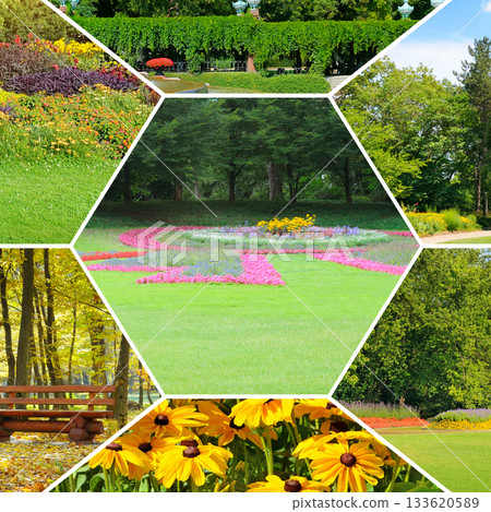 Seasonal and Floral Park Landscape Collage 133620589
