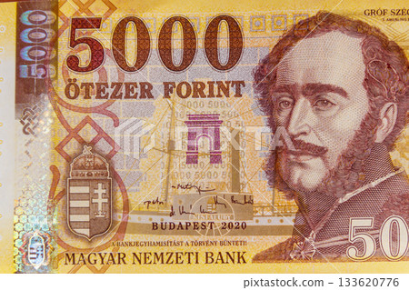Macro shot of 5000 Hungarian forint bill Macro shot of 5000 Hungarian forint bill 133620776