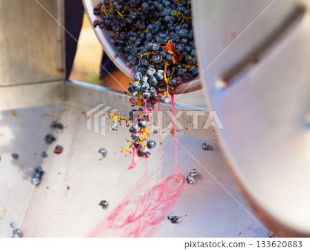 corkscrew crusher destemmer winemaking with grapes 133620883