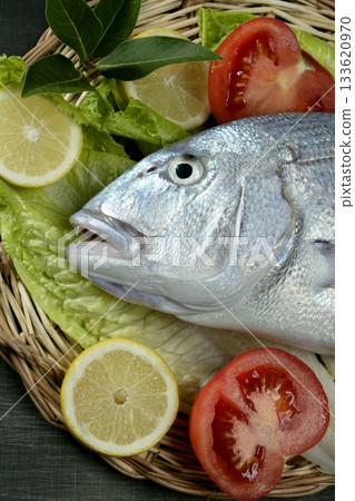 Denton, Mediterranean sparus fish, gilthead, snapper 133620970