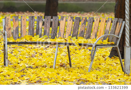 a bench in an autumn park a bench in an autumn park 133621399