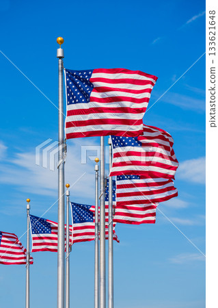 Washington Monument flags circle in DC USA Washington Monument flags circle in DC USA 133621648