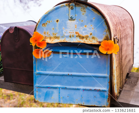 California poppy grunge mailboxes along Pacific Highway Route 1 133621681