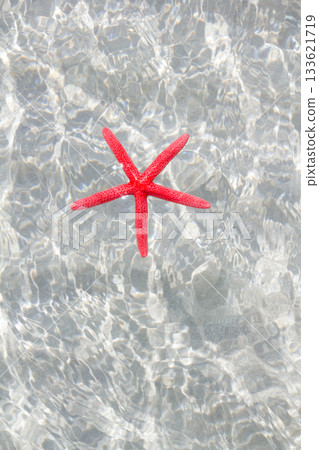 floating red starfish in white sand beach 133621719