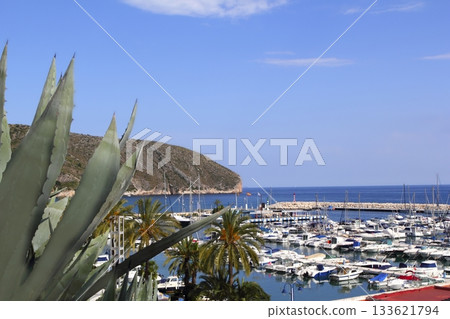 Moraira marina port view from agave Moraira marina port view from agave 133621794