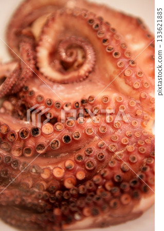 Steam coming from recent cooked octopus 133621885
