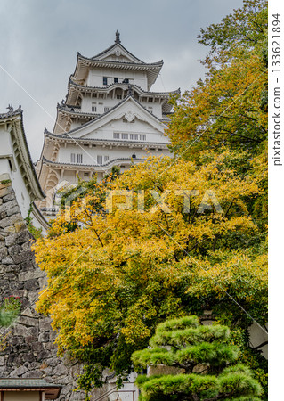 姬路城和黃樹 133621894