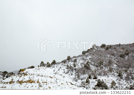 Nevada USA spring snow in the mountains 133622231