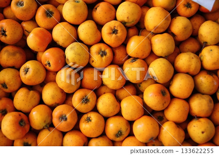 Tecojote winter fruit Crataegus pubescens stipulacea Tecojote winter fruit Crataegus pubescens stipulacea 133622255