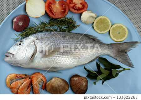 Denton, Mediterranean sparus fish, gilthead, snapper 133622265