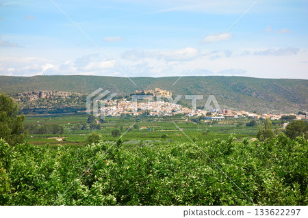 Montesa skyline village and castle Valencia 133622297
