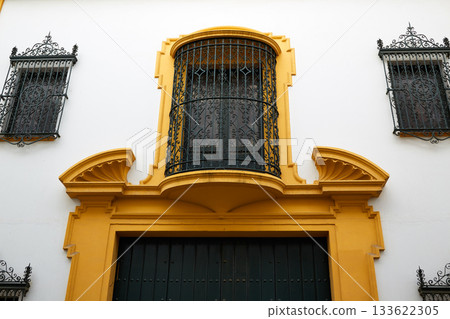 tipycal facade in seville 133622305