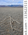 Dried-up branch in a lifeless steppe 133622515