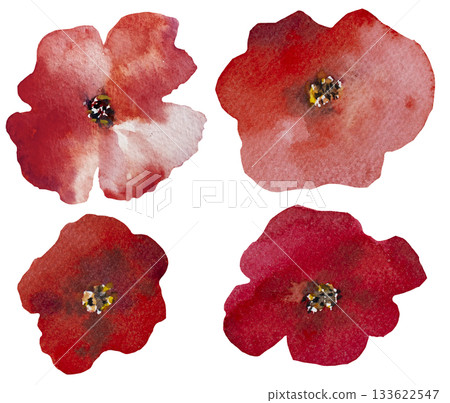 Watercolor bright red poppy wild flowers isolated illustration, floral wedding and greeting element Watercolor bright red poppy wild flowers isolated illustration, floral wedding and greeting element 133622547