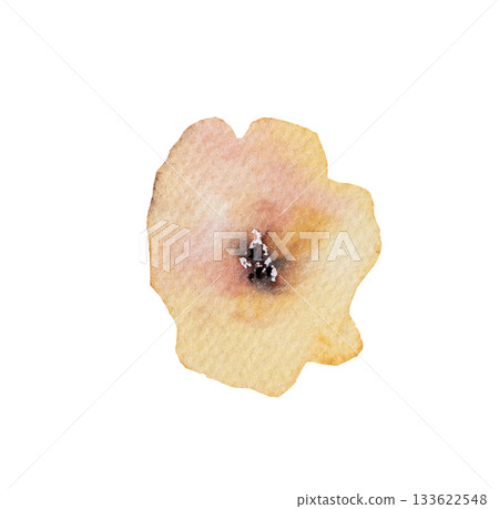 Watercolor pastel yellow wild flower isolated illustration, floral wedding and greeting element 133622548