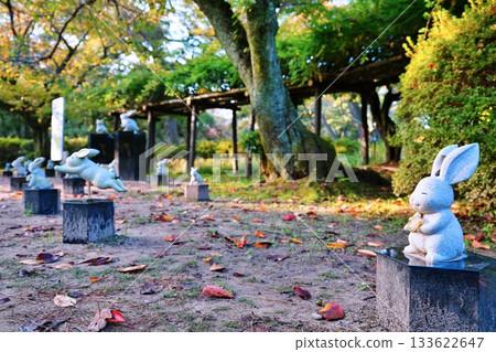 The rabbits of Izumo Taisha 133622647