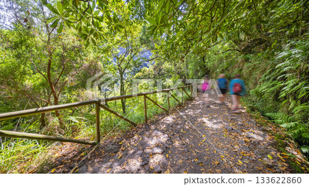 Levada do Risco, Madeira, Portugal 133622860