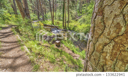 Azud del Acueducto Hiking Route, Sierra de Guadarrama National Park, Spain 133622941