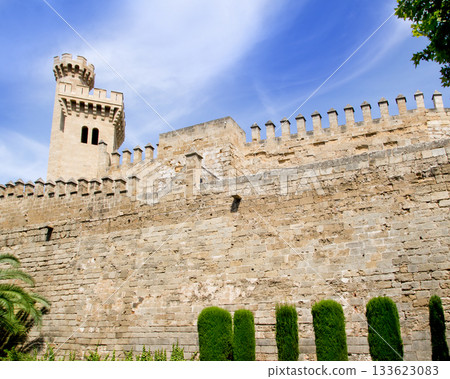 Almudaina palace in Palma de Mallorca from Majorca Almudaina palace in Palma de Mallorca from Majorca 133623083