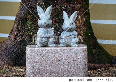 Rabbit at Izumo Taisha 133623149