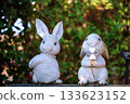 Cute rabbits at Izumo Taisha Shrine 133623152