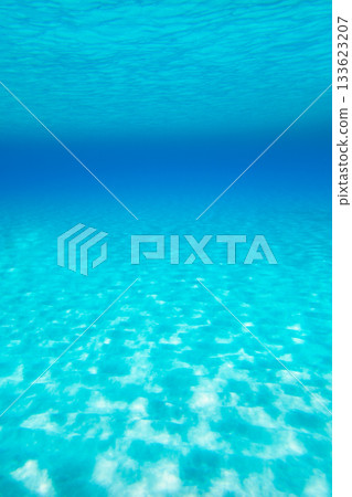 Blue turquoise underwater view of tropical beach Blue turquoise underwater view of tropical beach 133623207