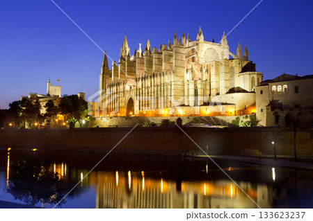 Cathedral of Majorca in Palma de Mallorca Balearic islands 133623237