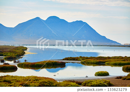Las Salinas in Cabo de Gata Almeria 133623279