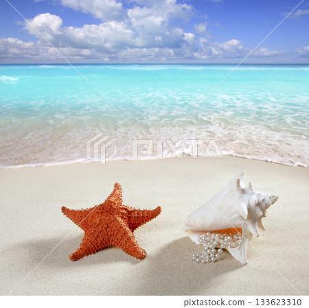 beach sand pearl necklace shell starfish summer beach sand pearl necklace shell starfish summer 133623310