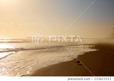 Daytona Beach in Florida with pier USA Daytona Beach in Florida with pier USA 133623311