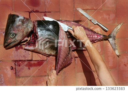 Bloody Mediterranean tuna fish preparation Bloody Mediterranean tuna fish preparation 133623383