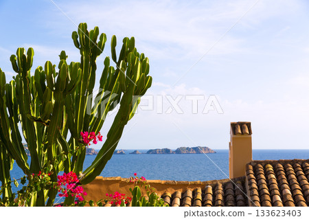 Majorca Cala Fornells beach Paguera Peguera Majorca Cala Fornells beach Paguera Peguera 133623403