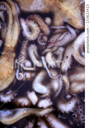 Cephalopods texture, many colorful octopus 133623415
