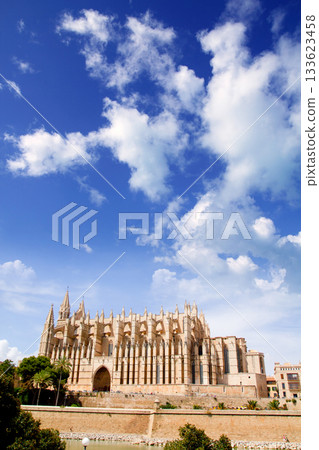 Cathedral of Majorca La seu from Palma de Mallorca Cathedral of Majorca La seu from Palma de Mallorca 133623458