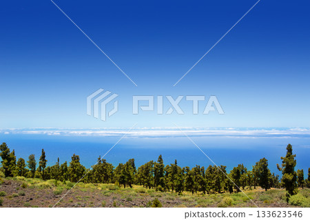 La Palma Caldera de Taburiente sea of clouds 133623546