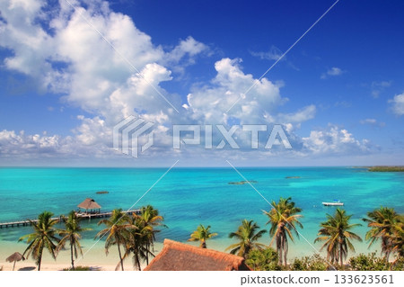 aerial view Contoy tropical caribbean island Mexico 133623561