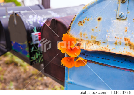 California poppy grunge mailboxes along Pacific Highway Route 1 133623736