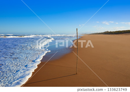 Tavernes de Valldigna beach dunes in Valencia 133623749