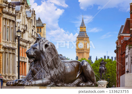London Trafalgar Square lion in UK 133623755