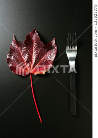 Metaphor, healthy diet low calories colorful vegetarian leaf meal 133623779