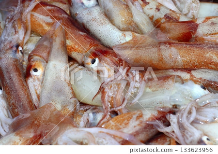 totena mediterranean squid seafood market totena mediterranean squid seafood market 133623956