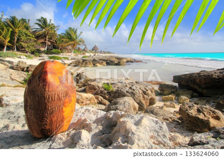 Caribbean Tulum Mexico coconut turquoise beach 133624060