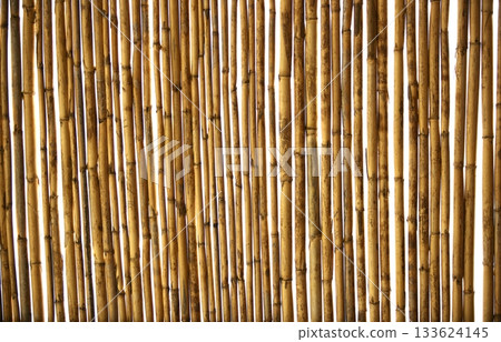 Dry cane texture background 133624145
