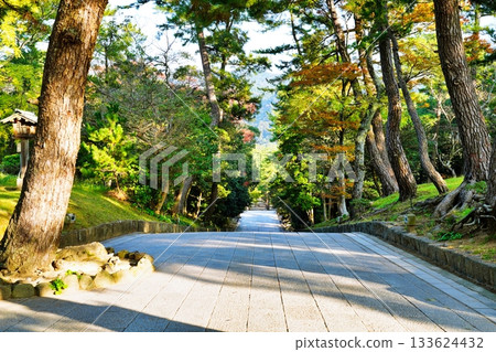 Izumo Taisha's falling approach Izumo Taisha's falling approach 133624432